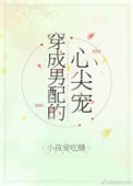 穿成男配的蠢蛋妻